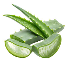 Alovera on transparent isolated background