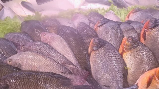 Fresh pomfret (ikan bawal), chilled for optimal freshness, is neatly arranged in the supermarket display.