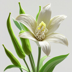 Obraz premium vanilla flower with pods and leaves isolated on transparent background Generative Ai.