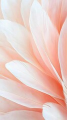 Macro shot of soft beige ostrich feathers close-up gentle textures natural light abstract beauty