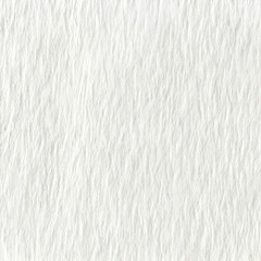 Fototapeta premium White Seamless Texture. Abstract Background for Design