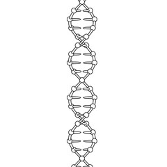 DNA二重らせん構造