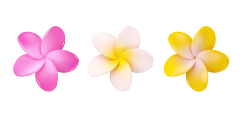 Frangipani flower vector 3d set. Collection of tropical plumeria flowers isolated on white background. Summer design elements