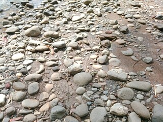 The Beauty of River Stones in Nature