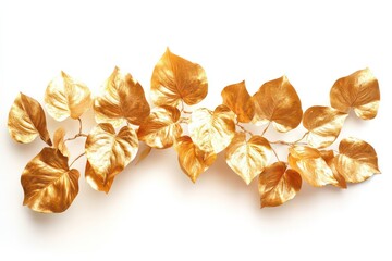 Fototapeta premium A tropical arrangement of golden giant pothos vine leaves in a cascading style, isolated on white.