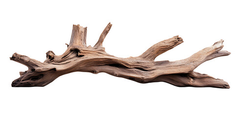 Fototapeta premium Isolated driftwood piece on white background