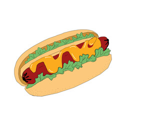 hot dog illustration. Hotdog with mustard. Vector design of hot dog food