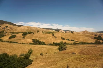 Foto op Canvas Central California landscape with hills trees and open field © jdoms