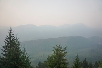 Mountain and trees covered with smoke and haze from forest fires 