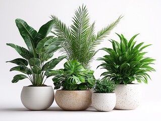 Fototapeta premium Potted plants creating a relaxing indoor garden oasis