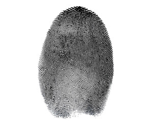 human ink fingerprint isolated on white background
