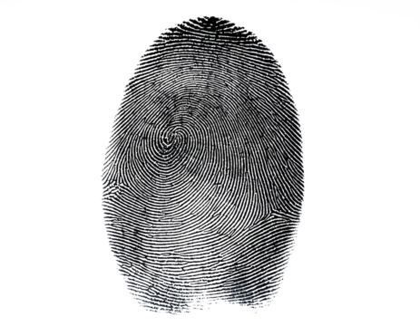 human ink fingerprint isolated on white background