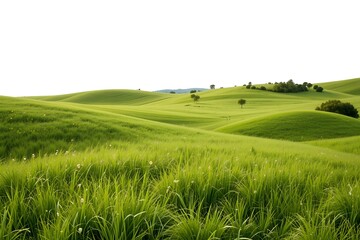 Obraz premium Green grass field under blue sky with white clouds ai generated