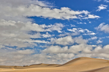 Monahans Sand Hills State Park in Monahans Texas where the sand dunes stretch for miles.
