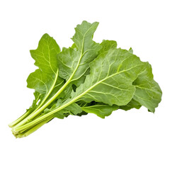 Mustard Tree Isolated on Transparent Background