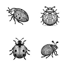 ladybug