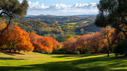 Fototapeta premium Scenic Autumn Landscape with Vibrant Colorful Trees and Hills