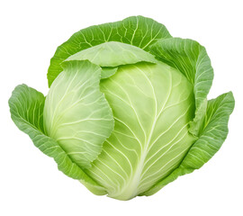 Fototapeta premium Fresh green cabbage isolated on white background