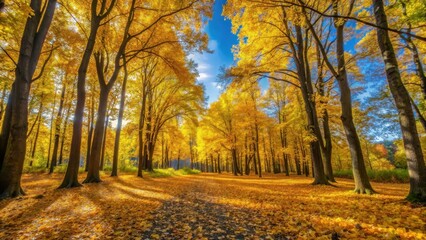 Autumn landscape with vibrant yellow leaves scattered on forest floor under clear blue sky, surrounded by tall trees with bare branches and lush green foliage , fall landscape, nature scene