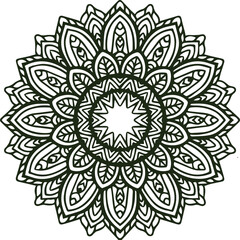 Beautiful flower art and mandala vector design