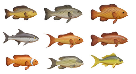 Fototapeta premium Nine Colorful Fish Illustrations Variety of Species isolated on white background. Generative AI