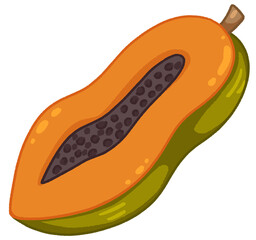 Papaya fruit illustration