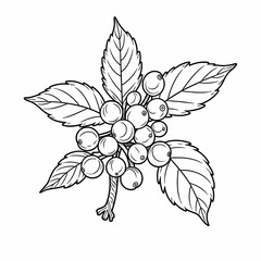 Detailed Line Art Berry Branch with Leaves