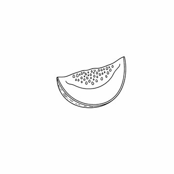 recommend clip art: Cantaloupe Slice Line Drawing Fresh Summer Fruit Illustration