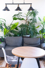 Modern loft-style village interior of house with large potted plants, gray sofa, empty round table, a striped rug, and large windows.