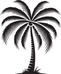 palm tree silhouette