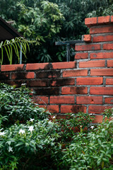 Old Brick Wall with Lush Greenery photo