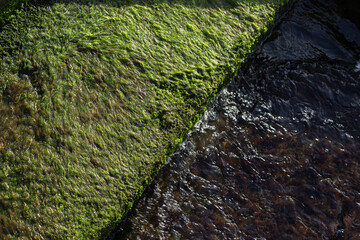 Mossy stones in the coastal area of ​​Kotor in Montenegro. High quality photo