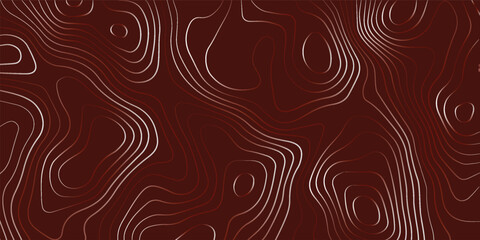 The stylized height of the topographic contour in lines and contours. The concept of a conditional geography scheme and the terrain. Wide size. Vector illustration.
