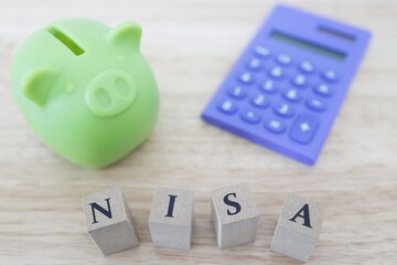 NISA 豚の貯金箱