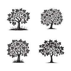 "High-Quality Vector Silhouette of a Paper Mulberry on White Background"
