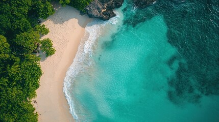 Aerial View of Secluded Tropical Beach Paradise