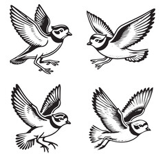 High-Quality Vector Silhouette of a Flying Piping Plover on White Background