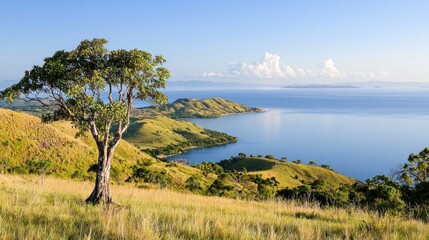 Fototapeta premium Serene coastal landscape with solitary tree
