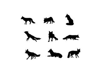 Cute fox come out the hole, watching vector illustration.Set of fox illustrations in various poses simple drawing.fox head icon. cat logo.