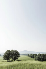 Calm landscape with trees and rolling hills beneath a clear sky during daytime