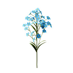 Obraz premium Beautiful Forget-me-not Flower Plant in PNG Cutout Format with Transparent Backdrop for Garden and Nature Projects