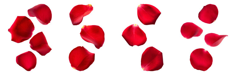 Fototapeta premium Floating Red Rose Petals, PNG set