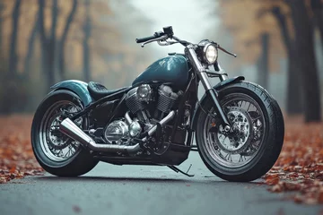 Motorcycle stands strikingly on a road blanketed in autumn leaves. The bike features a sleek design with chrome details, set against a backdrop of trees displaying fall colors