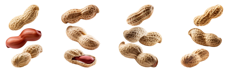 Floating Peanuts in Shells, PNG set