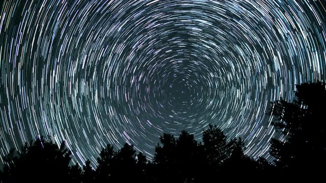 Star trails create mesmerizing patterns in the night sky above a dark forest. The long exposure captures the motion of celestial bodies over time. Stars move around a polar star. 4K
