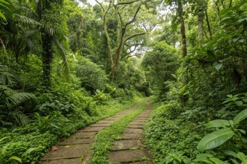 Obraz premium Overgrown pathways wind through jungle disappearing into dense undergrowth, ancient tree trunks, vegetation chokehold, thorny branches, tangled vines, jungle path
