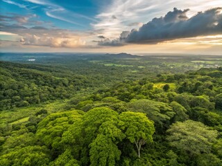 Obraz premium Aerial Panoramic View of Lush Green Landscape, Eco-Friendly Nature Scene, Forest Canopy, Spring Greenery, Environmental Conservation