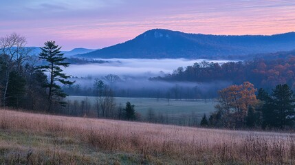 Fototapeta premium Serene Autumn Dawn Misty Mountains Peaceful Landscape