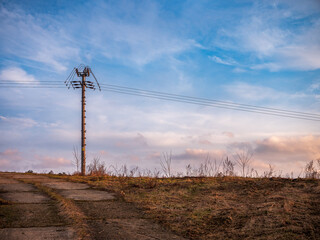 No tall trees and bushes should grow in the vicinity of power lines.