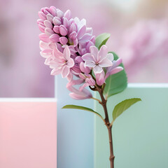 Floor A blossoming branch of delicate lilac on a blurred background with space for text.